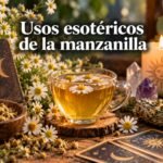 10 Usos esotéricos de la manzanilla 10 Usos esotéricos de la manzanilla