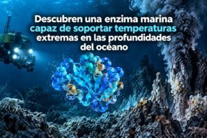 Descubren una enzima marina capaz de soportar temperaturas extremas