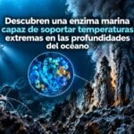 Descubren una enzima marina capaz de soportar temperaturas extremas