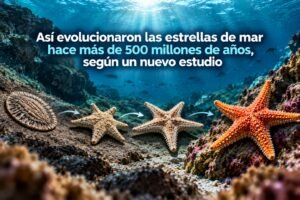 Así evolucionaron las estrellas de mar hace más de 500 millones de años